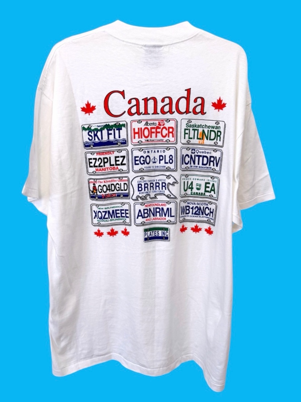 Vintage SHIGE Canadian licence plate graphic Tshirt